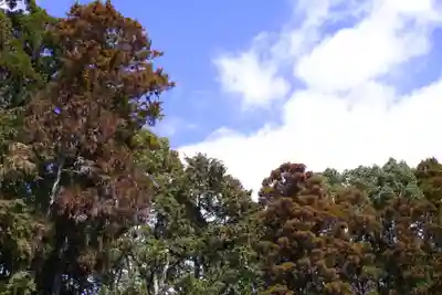 建部大社(滋賀県)