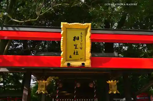 賀茂御祖神社（下鴨神社）(京都府)