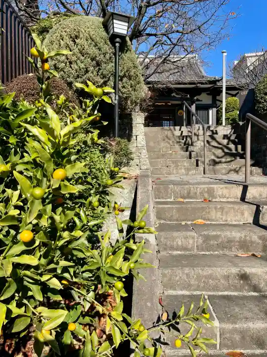 法雲寺の{uncategorized: "未分類", other: "その他", undefined: "問題あり", building: "その他建物", grave: "お墓", sacred_gate: "鳥居", guardian: "狛犬", statue: "像", buddha: "仏像", history: "歴史", nature: "自然", garden: "庭園", animal: "動物", pagoda: "塔", temizu: "手水舎", mountain_gate: "山門・神門", sanctuary: "本殿・本堂", subordinate: "末社・摂社", art: "芸術", scenery: "景色", jizo: "地蔵", ema: "絵馬", goshuin: "御朱印", omikuji: "おみくじ", items: "授与品その他", amulet: "お守り", goshuincho: "御朱印帳", eats: "食事", festival: "お祭り", votive_dance: "神楽", shichigosan: "七五三参", wedding: "結婚式", experience: "体験その他", initially: "初詣", around: "周辺", anti_infection: "感染症対策"}