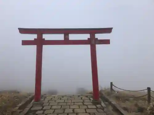 箱根元宮の鳥居