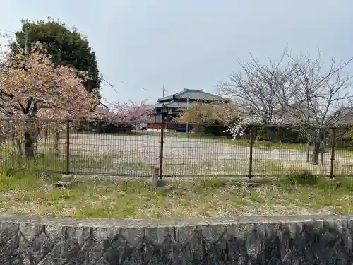 観智院(遍照寺)の{uncategorized: "未分類", other: "その他", undefined: "問題あり", building: "その他建物", grave: "お墓", sacred_gate: "鳥居", guardian: "狛犬", statue: "像", buddha: "仏像", history: "歴史", nature: "自然", garden: "庭園", animal: "動物", pagoda: "塔", temizu: "手水舎", mountain_gate: "山門・神門", sanctuary: "本殿・本堂", subordinate: "末社・摂社", art: "芸術", scenery: "景色", jizo: "地蔵", ema: "絵馬", goshuin: "御朱印", omikuji: "おみくじ", items: "授与品その他", amulet: "お守り", goshuincho: "御朱印帳", eats: "食事", festival: "お祭り", votive_dance: "神楽", shichigosan: "七五三参", wedding: "結婚式", experience: "体験その他", initially: "初詣", around: "周辺", anti_infection: "感染症対策"}