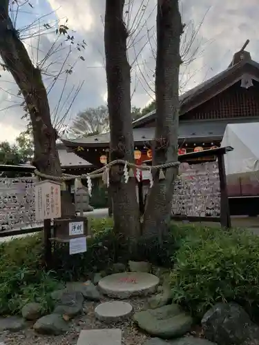 櫻木神社の庭園