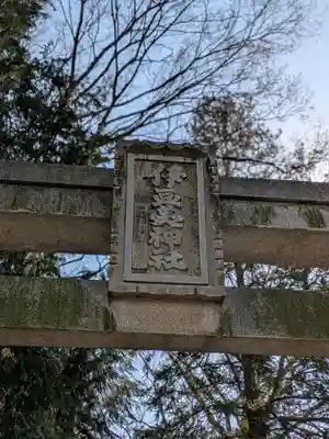 伊豆美神社(東京都)