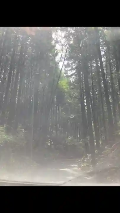 三峯神社(埼玉県)