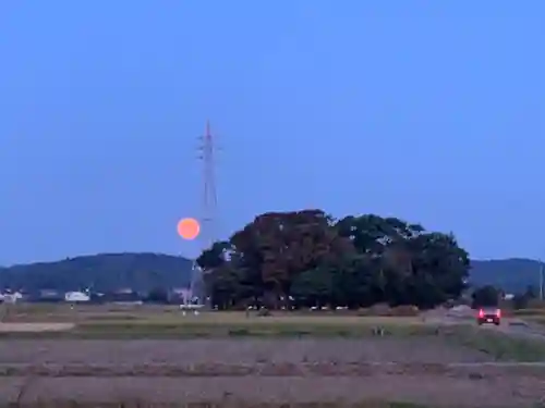 吾妻神社の景色