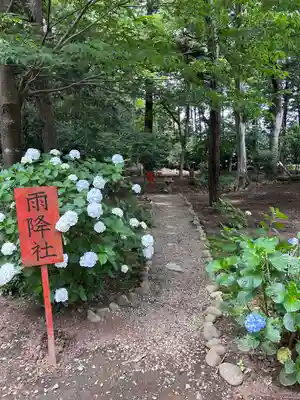 結城諏訪神社(茨城県)