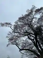 浅間神社(東京都)