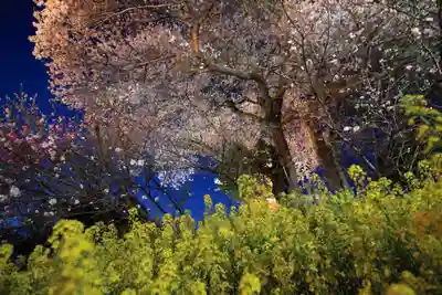 天神さまの祠の自然