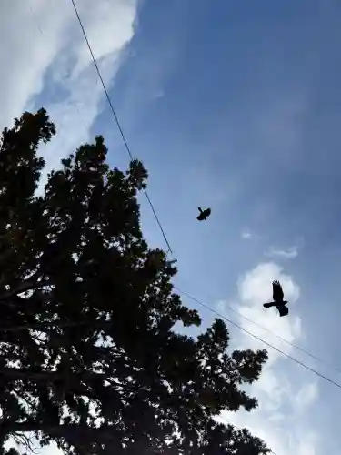 厳島神社の{uncategorized: "未分類", other: "その他", undefined: "問題あり", building: "その他建物", grave: "お墓", sacred_gate: "鳥居", guardian: "狛犬", statue: "像", buddha: "仏像", history: "歴史", nature: "自然", garden: "庭園", animal: "動物", pagoda: "塔", temizu: "手水舎", mountain_gate: "山門・神門", sanctuary: "本殿・本堂", subordinate: "末社・摂社", art: "芸術", scenery: "景色", jizo: "地蔵", ema: "絵馬", goshuin: "御朱印", omikuji: "おみくじ", items: "授与品その他", amulet: "お守り", goshuincho: "御朱印帳", eats: "食事", festival: "お祭り", votive_dance: "神楽", shichigosan: "七五三参", wedding: "結婚式", experience: "体験その他", initially: "初詣", around: "周辺", anti_infection: "感染症対策"}