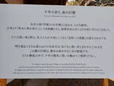 天河大辨財天社の{uncategorized: "未分類", other: "その他", undefined: "問題あり", building: "その他建物", grave: "お墓", sacred_gate: "鳥居", guardian: "狛犬", statue: "像", buddha: "仏像", history: "歴史", nature: "自然", garden: "庭園", animal: "動物", pagoda: "塔", temizu: "手水舎", mountain_gate: "山門・神門", sanctuary: "本殿・本堂", subordinate: "末社・摂社", art: "芸術", scenery: "景色", jizo: "地蔵", ema: "絵馬", goshuin: "御朱印", omikuji: "おみくじ", items: "授与品その他", amulet: "お守り", goshuincho: "御朱印帳", eats: "食事", festival: "お祭り", votive_dance: "神楽", shichigosan: "七五三参", wedding: "結婚式", experience: "体験その他", initially: "初詣", around: "周辺", anti_infection: "感染症対策"}