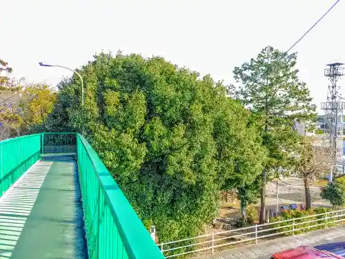神明社（岩藤神明社）の自然