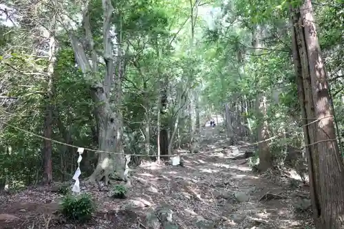富士浅間神社の自然
