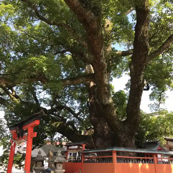 龍田神社の自然