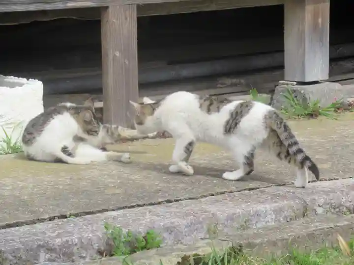 須賀神社の動物