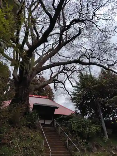 観音寺(福島県)