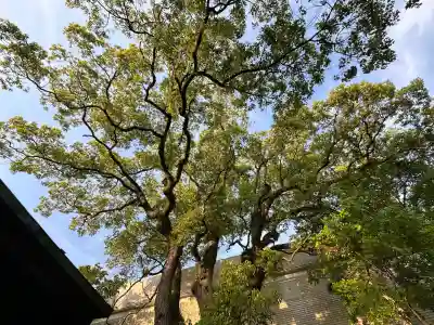 貴布禰神社(静岡県)