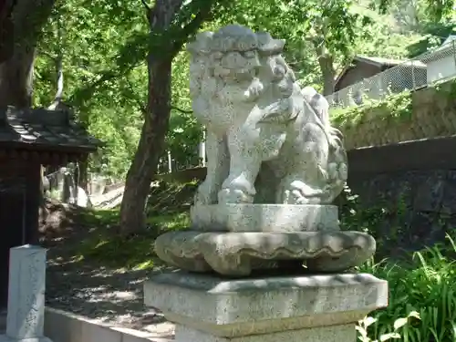 常安寺の狛犬