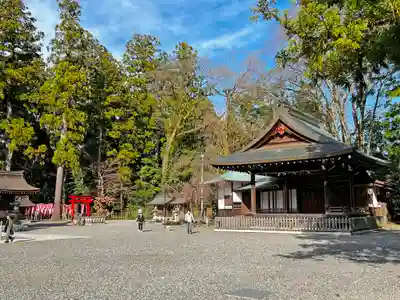 多賀大社(滋賀県)