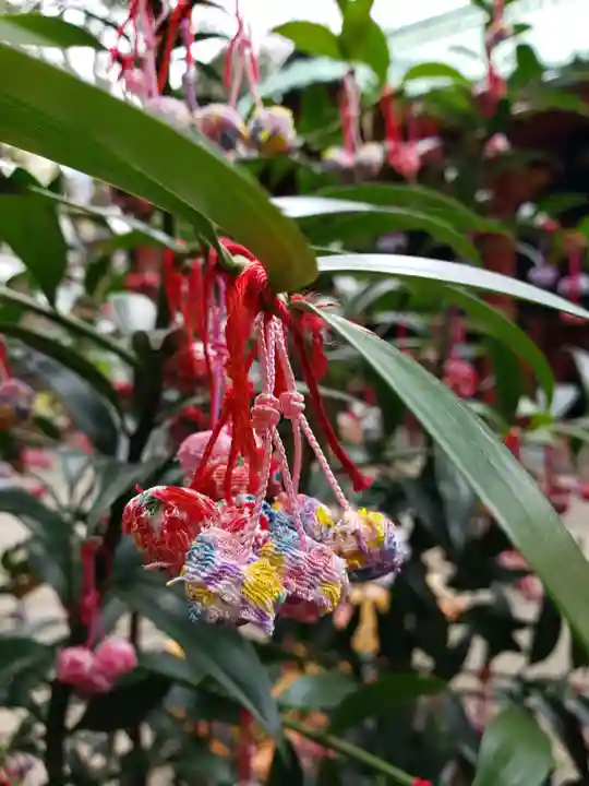 赤坂氷川神社(東京都)