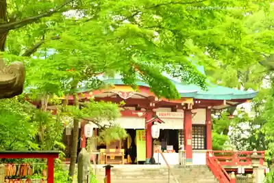 多摩川浅間神社(東京都)