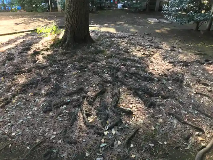 玉川神社の自然