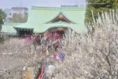 亀戸天神社(東京都)