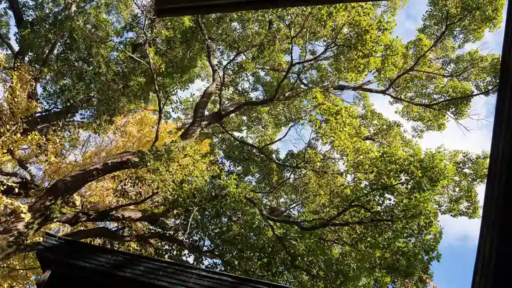 守居神社(大阪府)