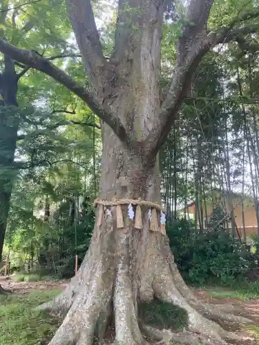 水戸八幡宮(茨城県)