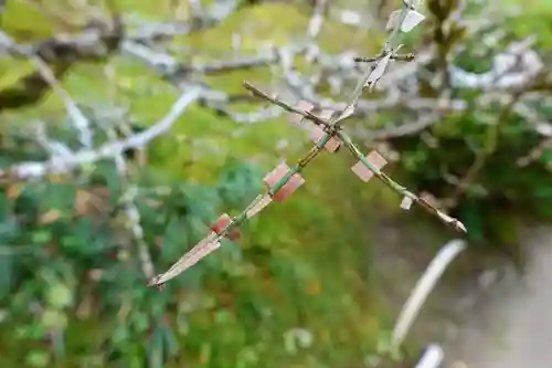 詩仙堂（丈山寺）の自然