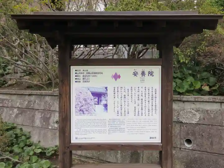 安養院 (田代寺)の歴史