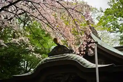 座間神社(神奈川県)