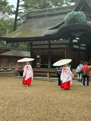 住吉大社(大阪府)