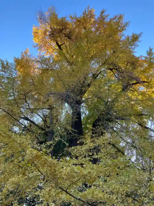 水戸八幡宮(茨城県)