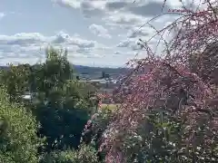 針綱神社の周辺