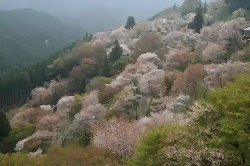 金峯山寺の景色