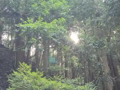 醍醐寺（上醍醐）(京都府)