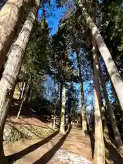 子檀嶺神社(長野県)