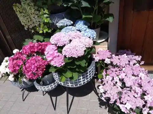 福應神社(兵庫県)