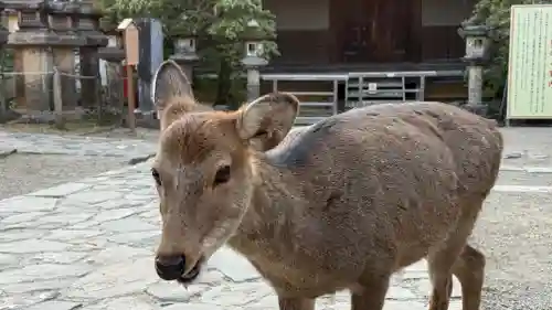 春日大社(奈良県)