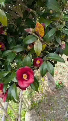 惠心院(京都府)