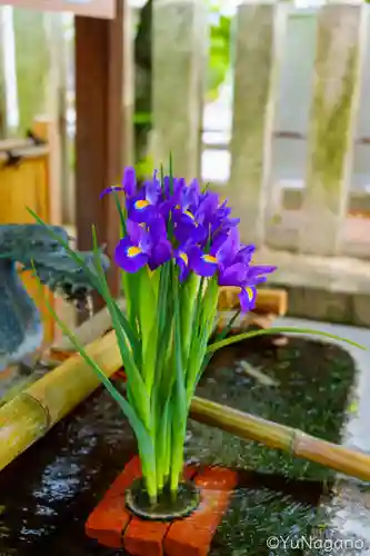 野見神社(大阪府)