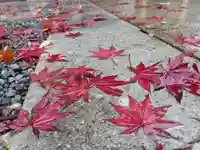 總社 和田八幡宮(福井県)