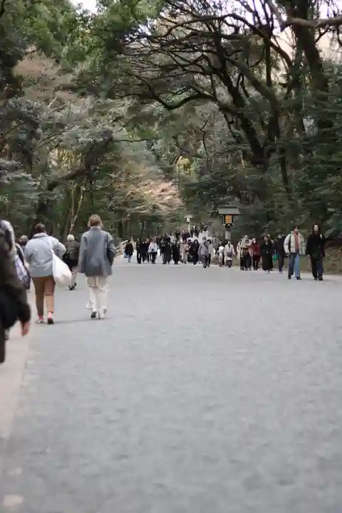 明治神宮(東京都)