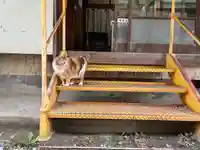 秩父札所十三番 慈眼寺(埼玉県)