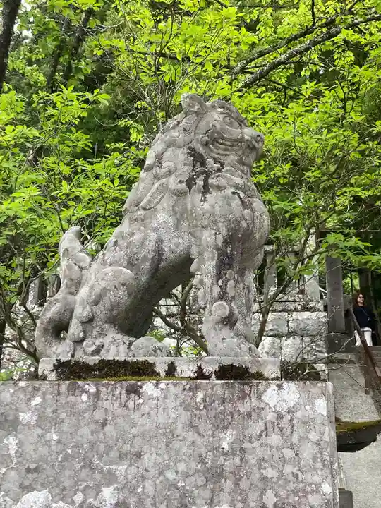 戸隠神社中社(長野県)