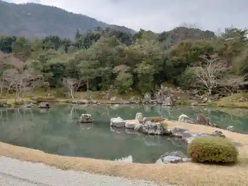 天龍寺の庭園