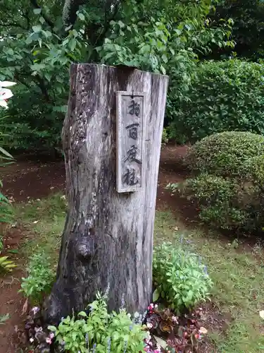 千勝神社のその他建物