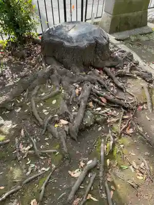 菊名池弁財天(神奈川県)