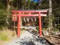 新宮神社(今宮)の鳥居