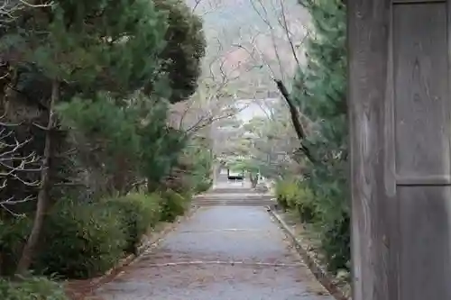 東光寺の自然